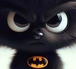 Avatar du membre