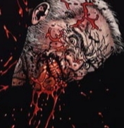 Avatar du membre