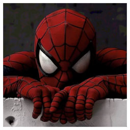 Avatar du membre